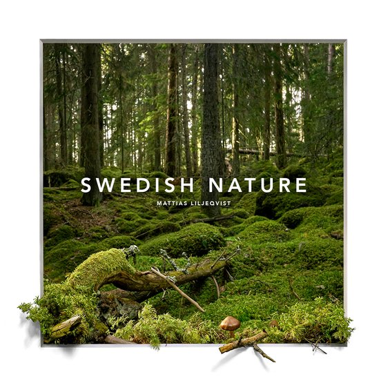Tavlan är fotograferad i en småländsk urskog. Motivet upplevs vara tredimensionellt men är helt platt. Konstverk av Mattias Liljeqvist.